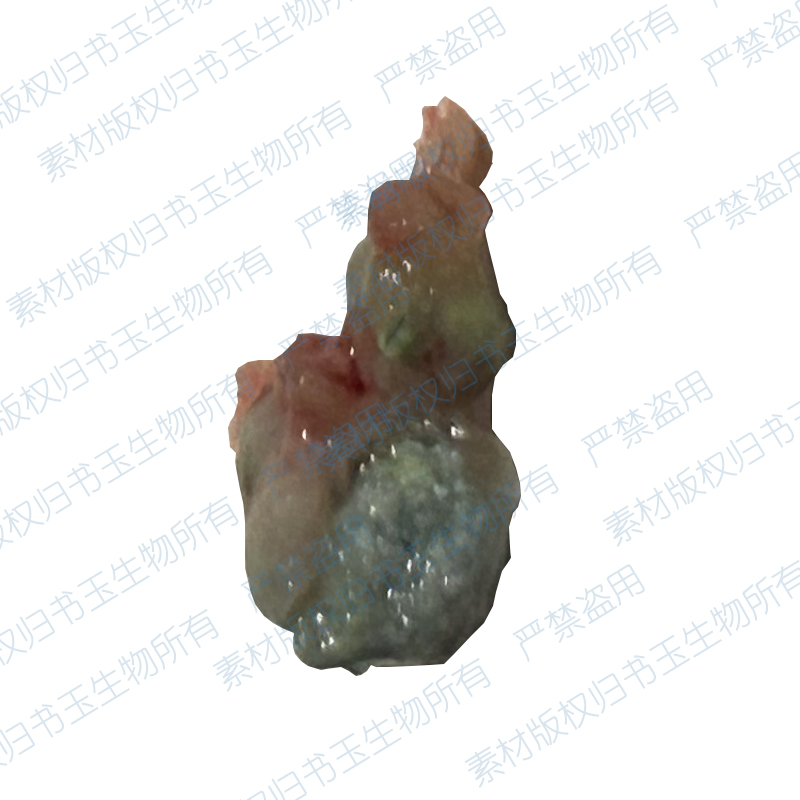 小鼠胆结石模型造模饲料